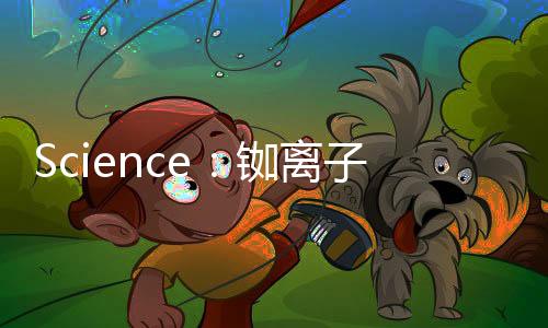 Science：銣離子摻雜提高鈣鈦礦太陽能電池的光伏性能 – 材料牛
