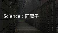 Science：陽離子反應(yīng)抑制包晶石降解高效穩(wěn)定太陽能模塊 – 材料牛