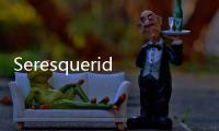 Seresqueridos(關于Seresqueridos簡述)