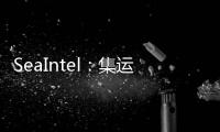 SeaIntel：集運整合增加導致市場波動增加