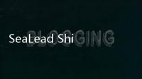 SeaLead Shipping宣布推出拉丁美洲服務