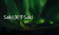 Saki(關于Saki簡述)