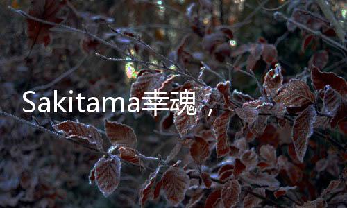 Sakitama幸魂，放松自己，盡享品質生活
