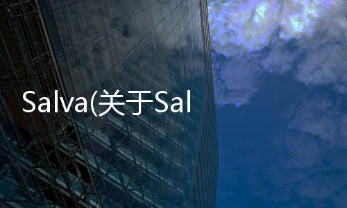 Salva(關于Salva簡述)