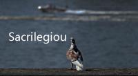 Sacrilegious(關(guān)于Sacrilegious簡述)