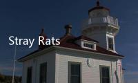 Stray Rats x《刺猬索尼克》全新聯(lián)名系列即將登場
