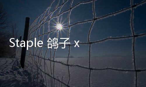 Staple 鴿子 x 飛躍全新合作鞋款系列發(fā)布，兩色可選