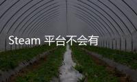 Steam 平臺不會有任何獨家游戲