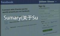 Sumary(關于Sumary簡述)