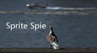 Sprite Spiegel ~ 機動維安少女