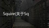 Squire(關(guān)于Squire簡述)