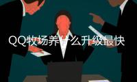 QQ牧場養什么升級最快（qq牧場養什么升級最快）