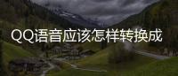 QQ語音應該怎樣轉換成文字 QQ語音轉換文字消息方法和技巧