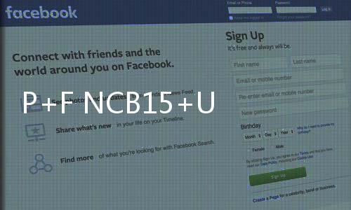 P+F NCB15+U1+NO