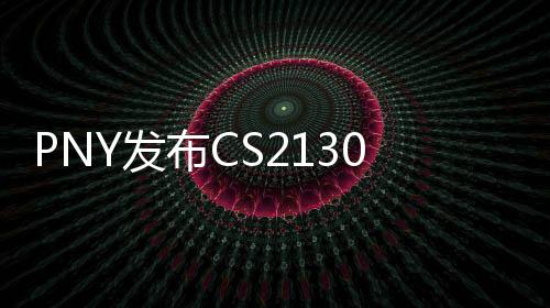 PNY發(fā)布CS2130M.2NVMeSSD
