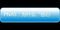 PNAS：為什么“傷心的人別聽慢歌”？