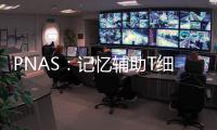 PNAS：記憶輔助T細胞讓抵抗慢性病毒感染的記憶B細胞持續存在