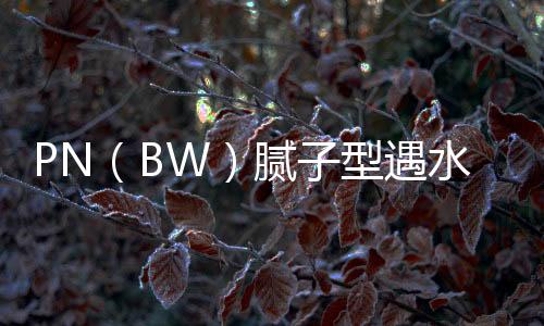 PN（BW）膩子型遇水膨脹止水條廠家電話