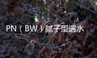 PN（BW）膩子型遇水膨脹止水條廠家電話
