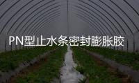 PN型止水條密封膨脹膠條20x30黑色膩子條