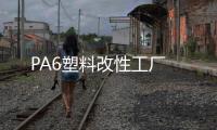PA6塑料改性工廠