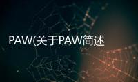 PAW(關于PAW簡述)