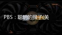 PBS：聰明的猴子(關于PBS：聰明的猴子簡述)