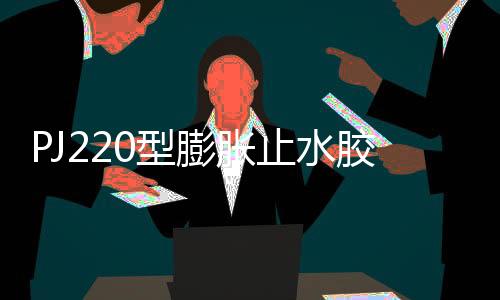 PJ220型膨脹止水膠標準及檢測