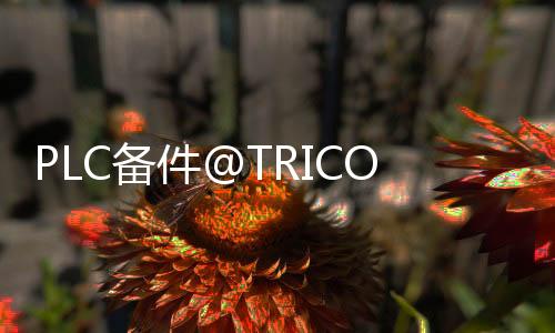 PLC備件@TRICONEX 3700A@3700A