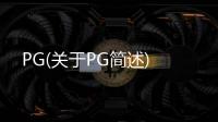 PG(關(guān)于PG簡述)