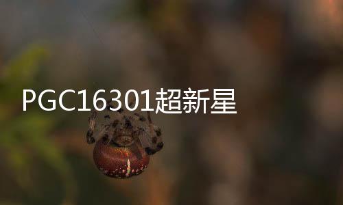 PGC16301超新星(關于PGC16301超新星簡述)
