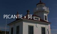 PICANTE x 阿爾法工業合作系列正式發布