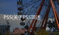 PSS(關于PSS簡述)