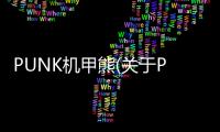 PUNK機甲熊(關于PUNK機甲熊簡述)