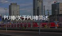 PU棒(關于PU棒簡述)