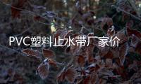 PVC塑料止水帶廠家價格