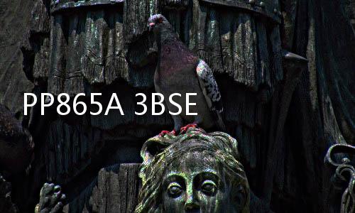 PP865A 3BSE042236R2