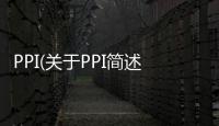 PPI(關(guān)于PPI簡(jiǎn)述)
