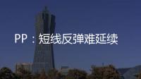 PP：短線反彈難延續