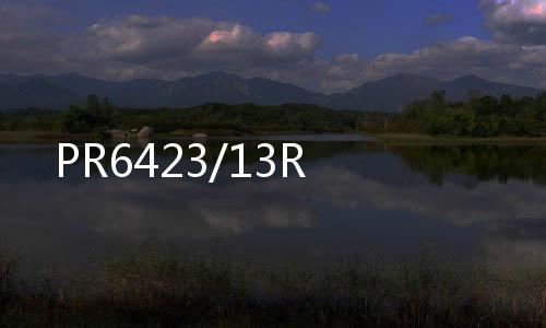 PR6423/13R