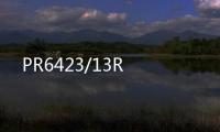 PR6423/13R
