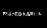PZ遇水膨脹制品型止水條20毫米×30毫米
