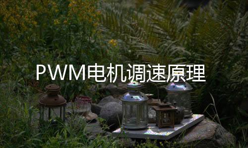 PWM電機(jī)調(diào)速原理