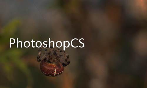 PhotoshopCS4實(shí)訓(xùn)教程(關(guān)于PhotoshopCS4實(shí)訓(xùn)教程簡(jiǎn)述)