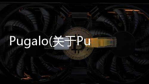 Pugalo(關于Pugalo簡述)