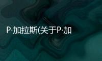 P·加拉斯(關于P·加拉斯簡述)