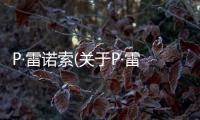 P·雷諾索(關(guān)于P·雷諾索簡述)