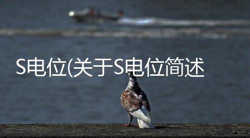 S電位(關(guān)于S電位簡(jiǎn)述)