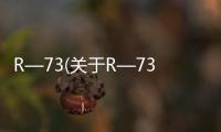 R—73(關于R—73簡述)