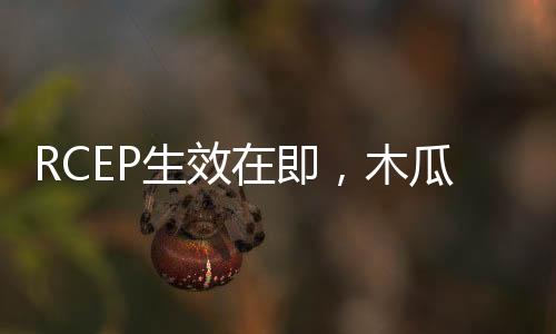 RCEP生效在即，木瓜移動(dòng)助力跨境電商開啟滿血加速模式